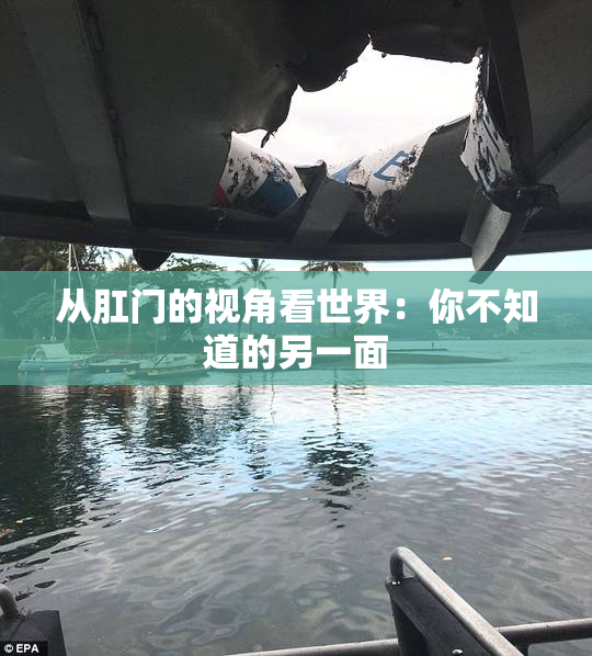 从肛门的视角看世界：你不知道的另一面