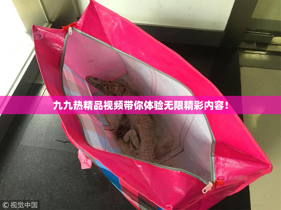 九九热精品视频带你体验无限精彩内容！