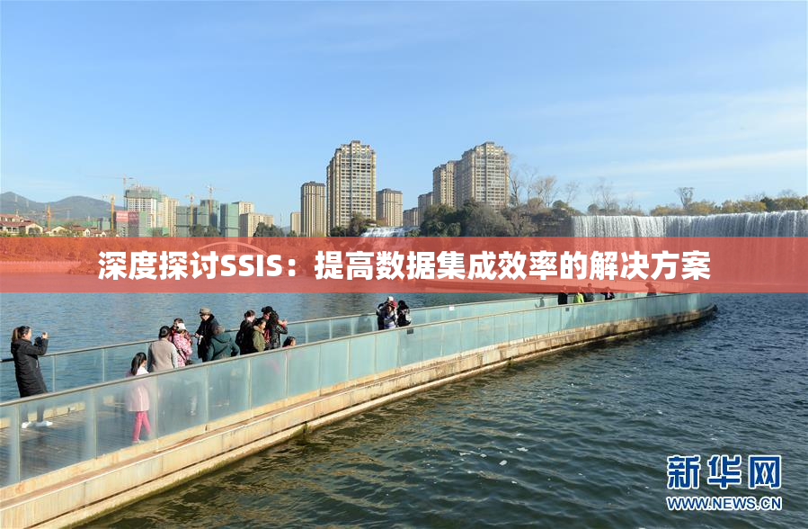 深度探讨SSIS：提高数据集成效率的解决方案
