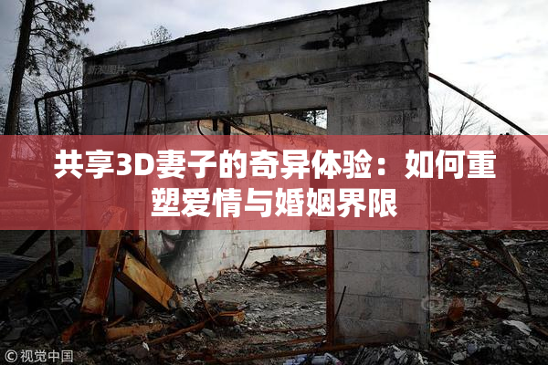 共享3D妻子的奇异体验：如何重塑爱情与婚姻界限