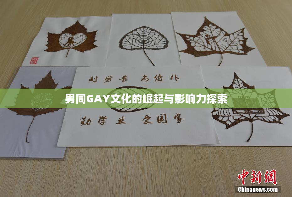 男同GAY文化的崛起与影响力探索