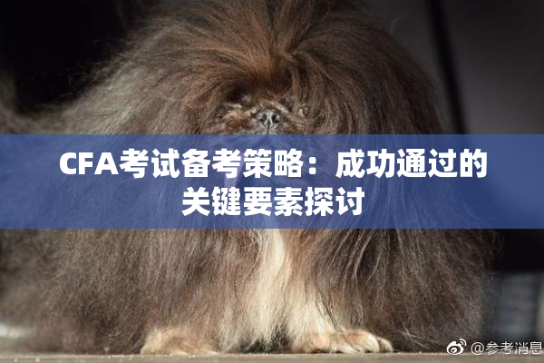 CFA考试备考策略：成功通过的关键要素探讨