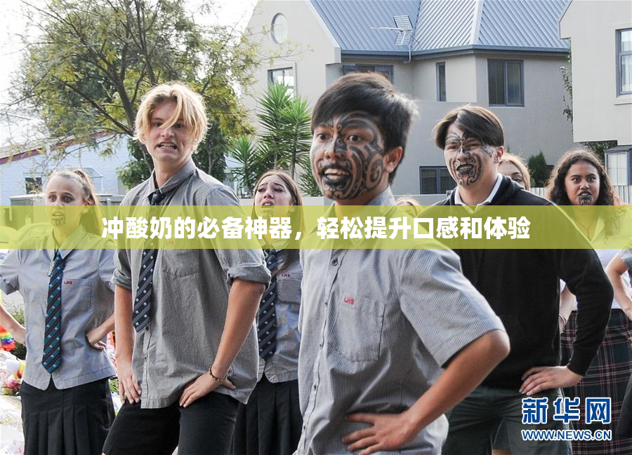 冲酸奶的必备神器，轻松提升口感和体验