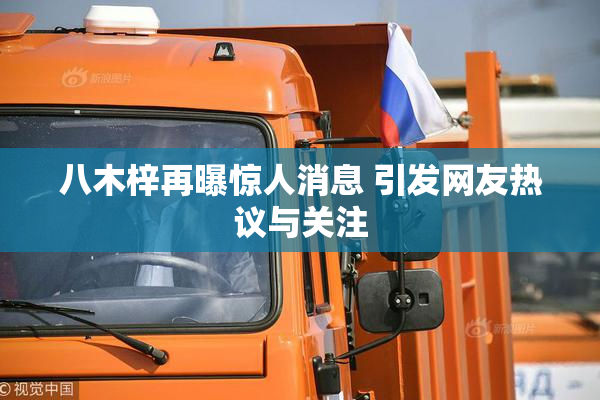 八木梓再曝惊人消息 引发网友热议与关注