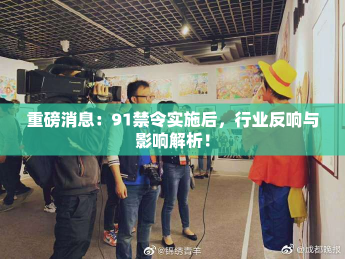 重磅消息：91禁令实施后，行业反响与影响解析！