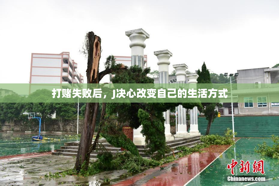 打赌失败后，J决心改变自己的生活方式