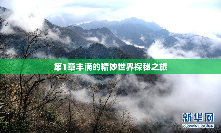 第1章丰满的精妙世界探秘之旅
