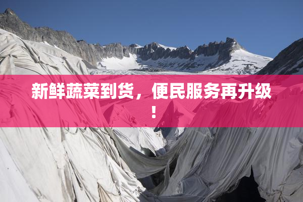 新鲜蔬菜到货，便民服务再升级！