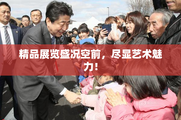 精品展览盛况空前，尽显艺术魅力！