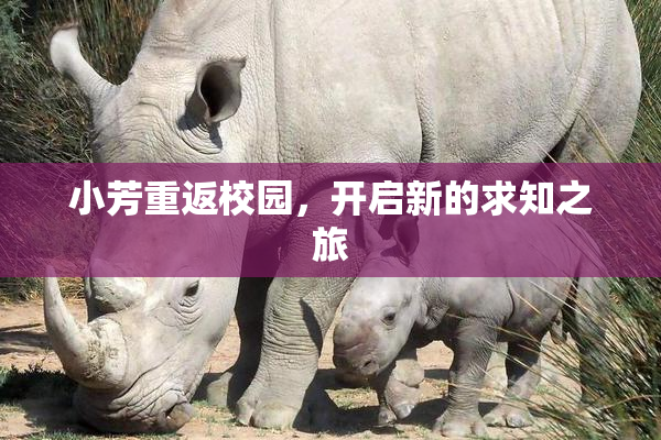 小芳重返校园，开启新的求知之旅