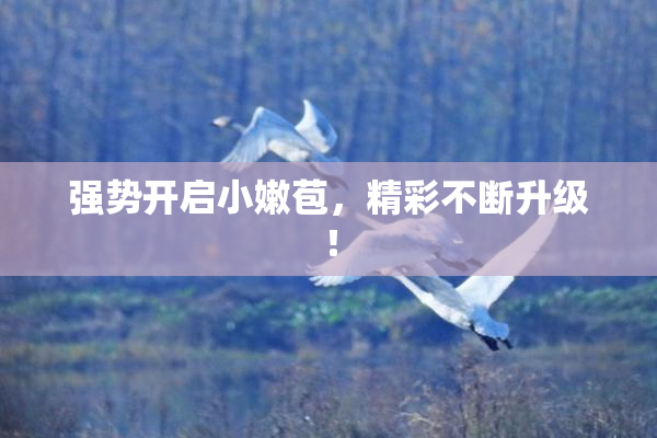 强势开启小嫩苞，精彩不断升级！