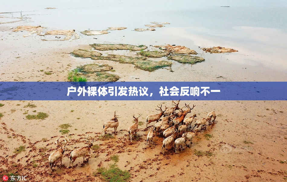 户外裸体引发热议，社会反响不一