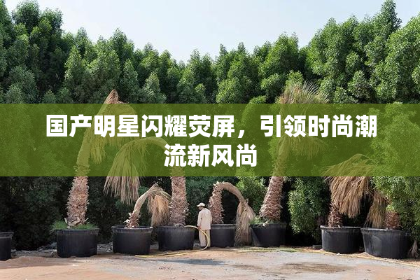 国产明星闪耀荧屏，引领时尚潮流新风尚