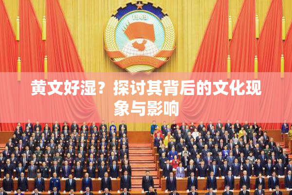 黄文好湿？探讨其背后的文化现象与影响