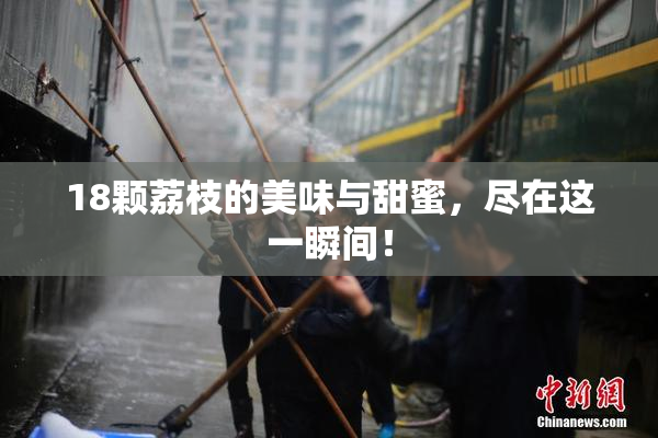 18颗荔枝的美味与甜蜜，尽在这一瞬间！