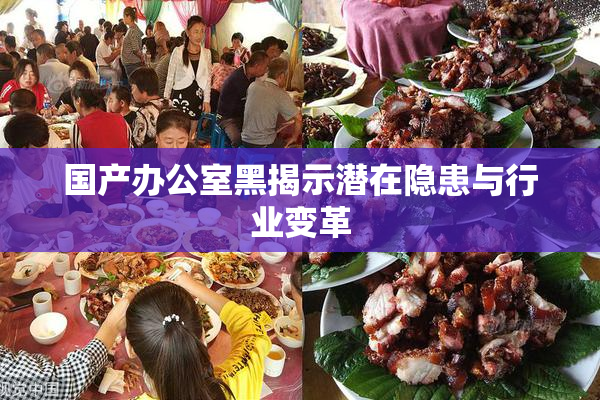 国产办公室黑揭示潜在隐患与行业变革