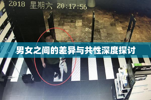 男女之间的差异与共性深度探讨