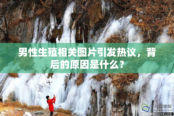 男性生殖相关图片引发热议，背后的原因是什么？