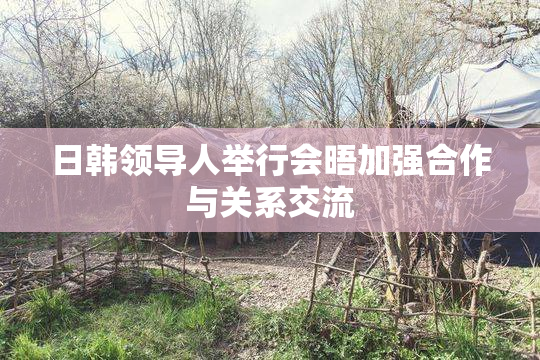 日韩领导人举行会晤加强合作与关系交流