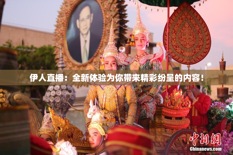 伊人直播：全新体验为你带来精彩纷呈的内容！