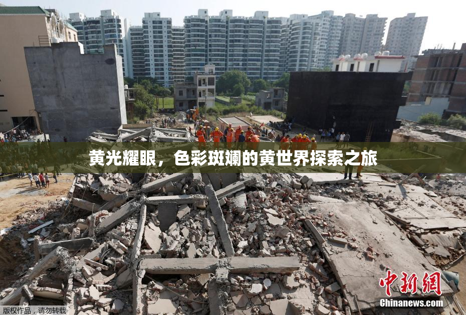 黄光耀眼，色彩斑斓的黄世界探索之旅