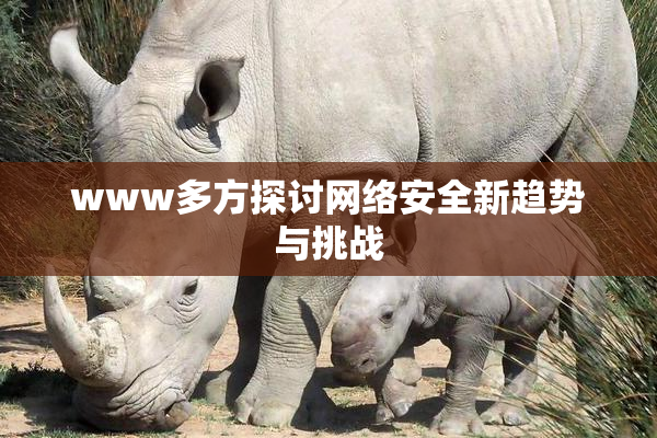 www多方探讨网络安全新趋势与挑战