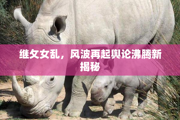 继攵女乱，风波再起舆论沸腾新揭秘