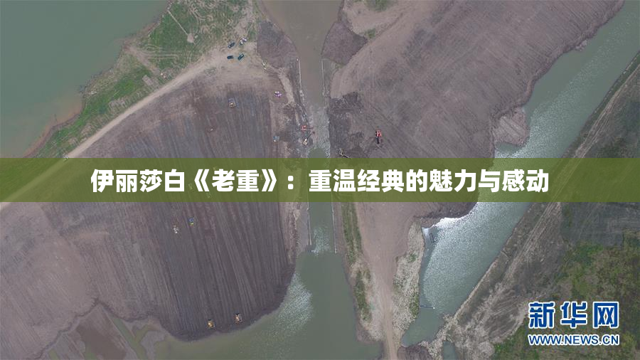 伊丽莎白《老重》：重温经典的魅力与感动