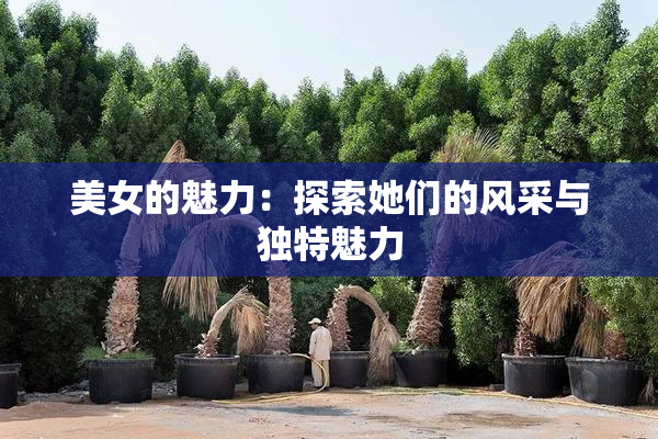 美女的魅力：探索她们的风采与独特魅力