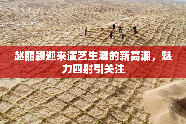 赵丽颖迎来演艺生涯的新高潮，魅力四射引关注