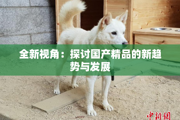 全新视角：探讨国产精品的新趋势与发展