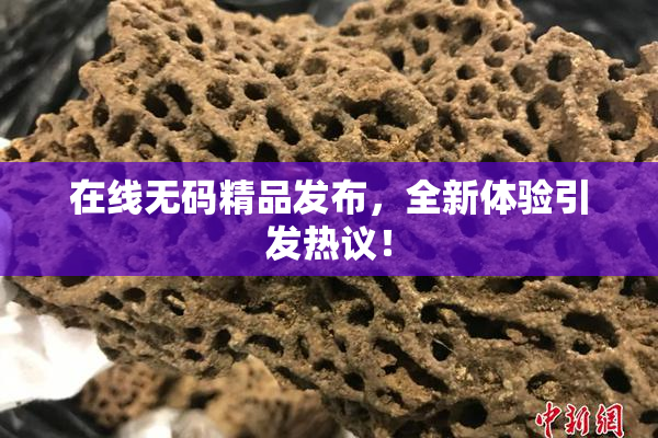 在线无码精品发布，全新体验引发热议！