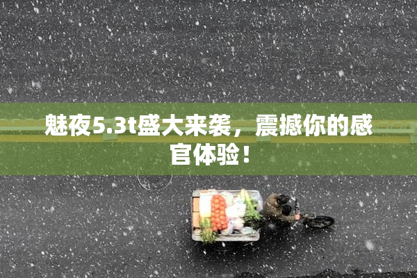 魅夜5.3t盛大来袭，震撼你的感官体验！