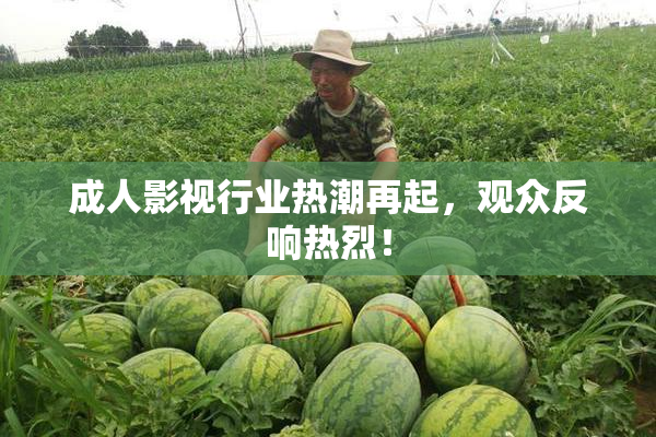 成人影视行业热潮再起，观众反响热烈！