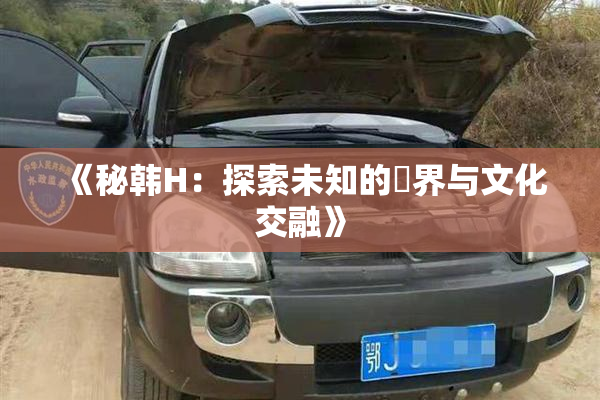 《秘韩H：探索未知的邊界与文化交融》