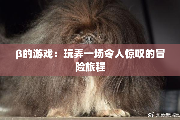 β的游戏：玩弄一场令人惊叹的冒险旅程