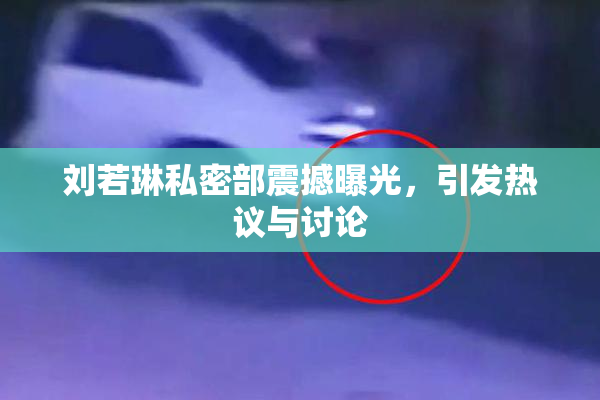 刘若琳私密部震撼曝光，引发热议与讨论