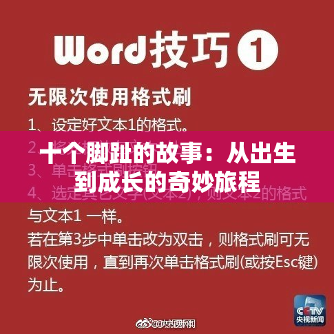 十个脚趾的故事：从出生到成长的奇妙旅程