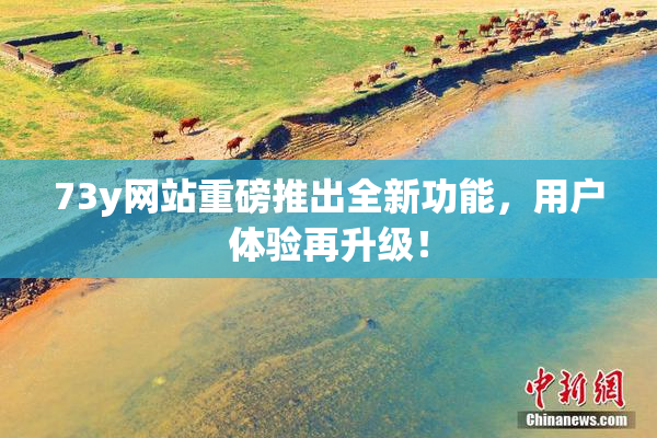 73y网站重磅推出全新功能，用户体验再升级！