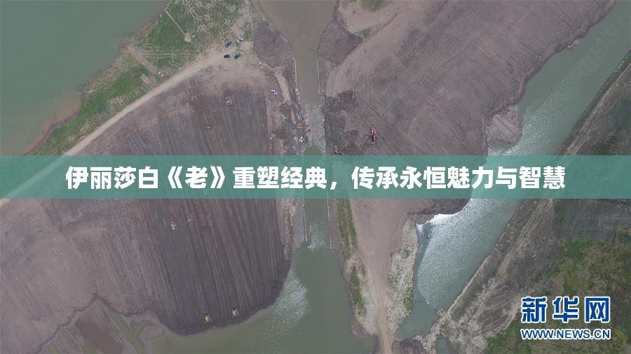 伊丽莎白《老》重塑经典，传承永恒魅力与智慧