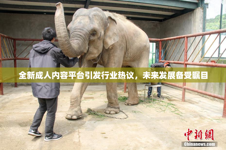 全新成人内容平台引发行业热议，未来发展备受瞩目