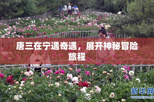 唐三在宁遇奇遇，展开神秘冒险旅程