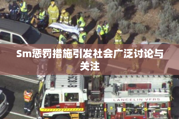 Sm惩罚措施引发社会广泛讨论与关注
