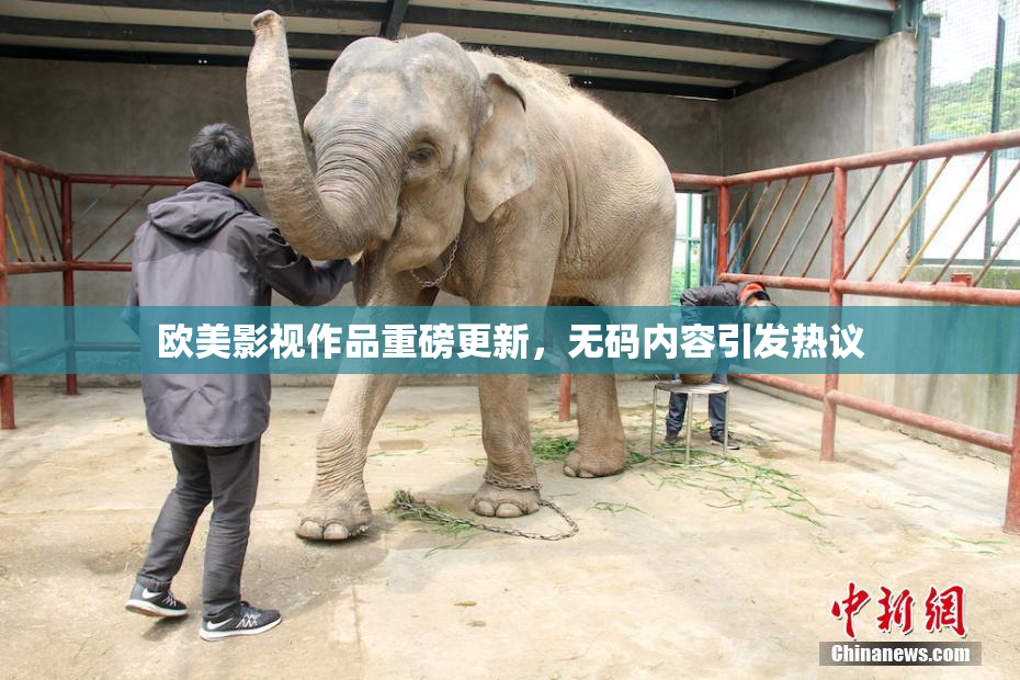 欧美影视作品重磅更新，无码内容引发热议