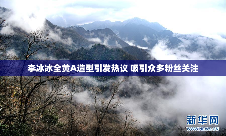 李冰冰全黄A造型引发热议 吸引众多粉丝关注