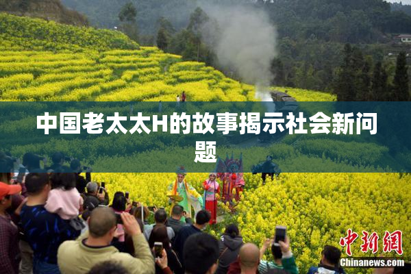 中国老太太H的故事揭示社会新问题