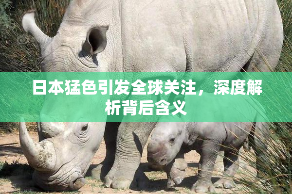 日本猛色引发全球关注，深度解析背后含义