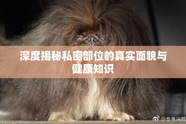 深度揭秘私密部位的真实面貌与健康知识