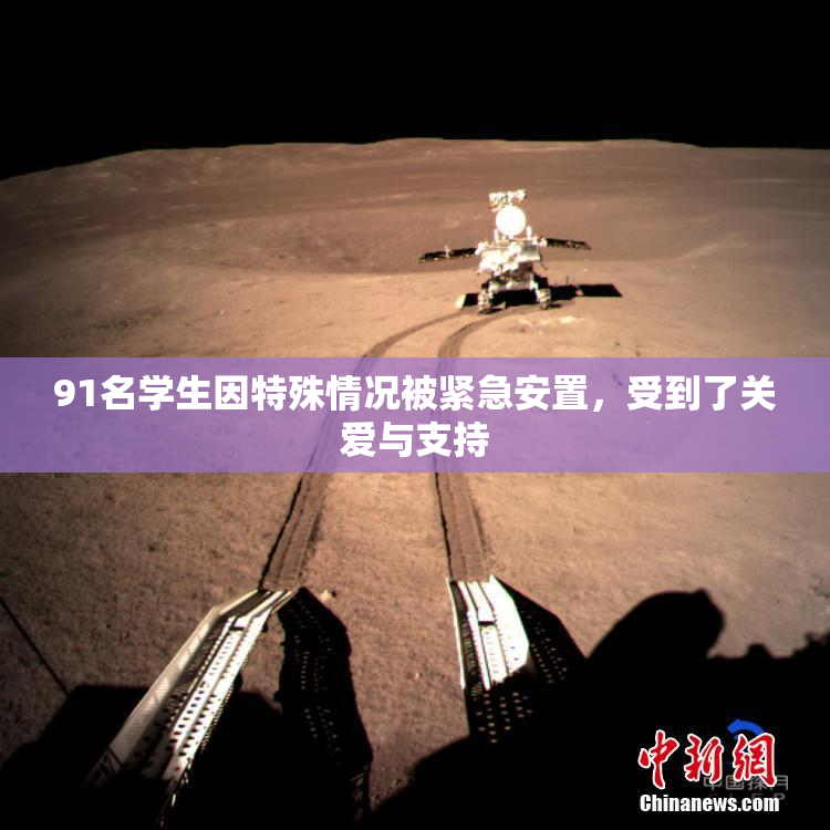 91名学生因特殊情况被紧急安置，受到了关爱与支持