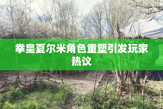 拳皇夏尔米角色重塑引发玩家热议
